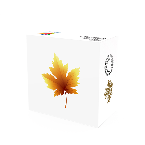 Maple Leaf 2017 99999 Goldmünze — Schachtel — Canada 150 Iconic Maple Leaf Box